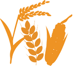 raw materials for cereals is natural