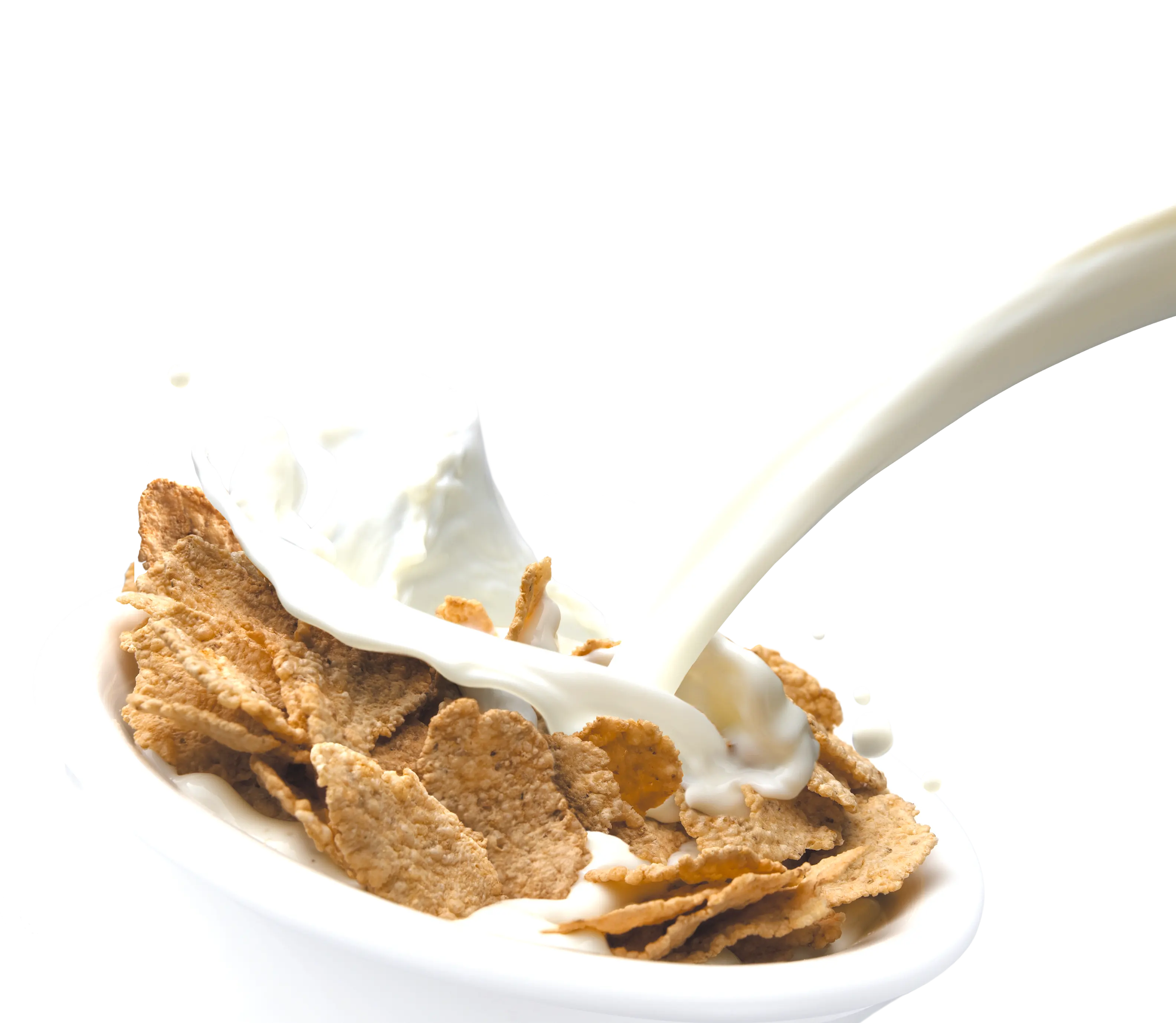 cereal bowl